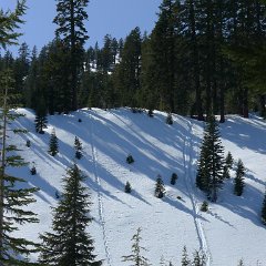 Lassen 114.JPG